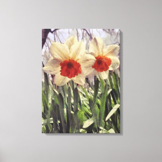 Schöne Frühlingsfarbe gestrichen Daffodil-Blume Leinwanddruck (Vorderseite)