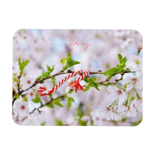 Schöne Frühlingsgrüße Magnet (Horizontal)