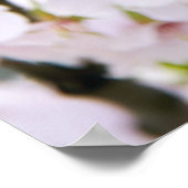 Schöne Frühlingsgrüße Poster (Ecke)
