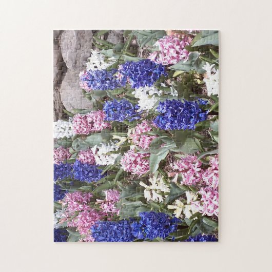 Schöne Frühlingshyazinthen Puzzle (Vertikal)