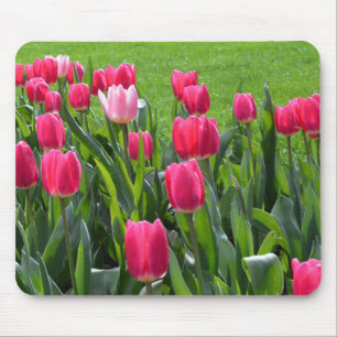 Schöne Frühlingsrosatulpenblumen, grüne Blätter Mousepad