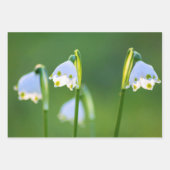 Schöne Frühlingsschneeflocken und Schneeflocken Geschenkpapier Set (Vorderseite 3)