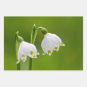 Schöne Frühlingsschneeflocken und Schneeflocken Geschenkpapier Set (Vorderseite 2)