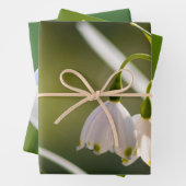 Schöne Frühlingsschneeflocken und Schneeflocken Geschenkpapier Set (Beispiel)