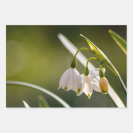 Schöne Frühlingsschneeflocken und Schneeflocken Geschenkpapier Set