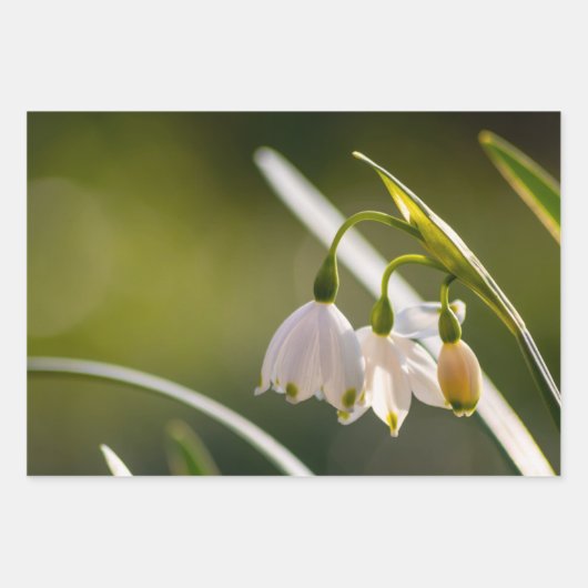 Schöne Frühlingsschneeflocken und Schneeflocken Geschenkpapier Set (Vorderseite)