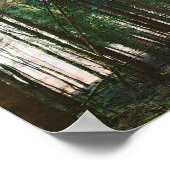 Schöne Frühlingswälder Tag Natur Bäume Sonne Poster (Ecke)