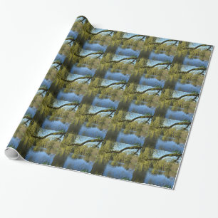 schöne Frühlingsweiden am Wasserteich. Geschenkpapier