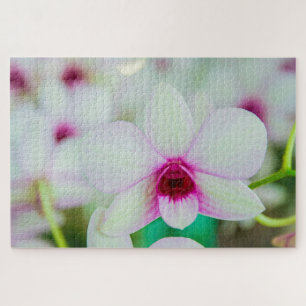 Schöne Fuchsien und weiße Blume Puzzle