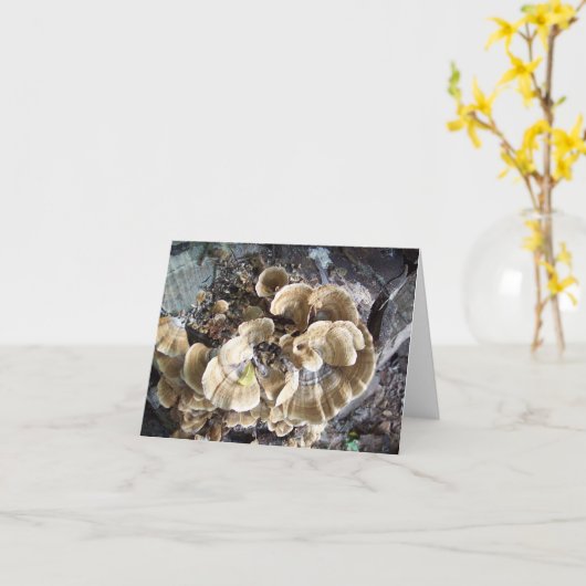 Schöne Fungus Note Card Karte (Gelbe Blume)