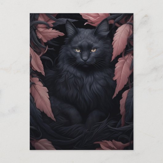 Schöne Furry Black Cat Postkarte (Vorderseite)