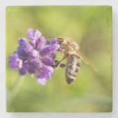 Schöne Fütternd Bee Stone Untersetzer (Vorderseite)