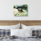 Schöne Fütternd Biene Leinwanddruck (Insitu (Schlafzimmer))