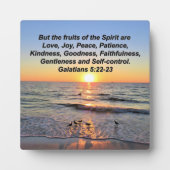 SCHÖNE GALATIANER 5 SONNENREISE FOTOPLATTE (Vorderseite)