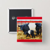 Schöne Galloway Kuh und Kalb Aquarell Button (Vorne & Hinten)