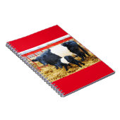 Schöne Galloway Kuh und Kalb Aquarell Notizblock (Rechte Seite)