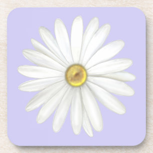 Schöne Gänseblümchen-Blume auf hellblauem Immergrü Getränkeuntersetzer