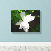 Schöne Gardenia-Blume Leinwanddruck (Insitu (Holzboden))