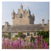 Schöne Gärten und berühmtes Schloss in Schottland  Fliese (Vorderseite)