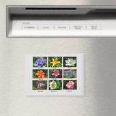 Schöne Gartenanlage Blume Magnet (In Situ (Geschirrspüler))