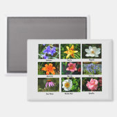 Schöne Gartenanlage Blume Magnet (Vorderseite/Rückseite)