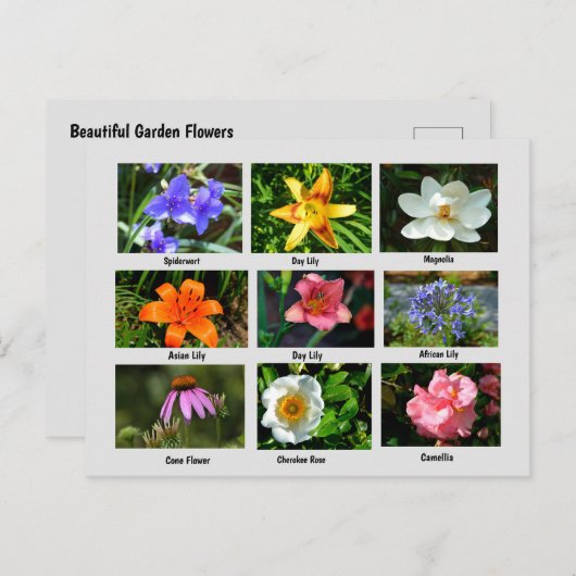 Schöne Gartenanlage Blume Postkarte (Vorne/Hinten)