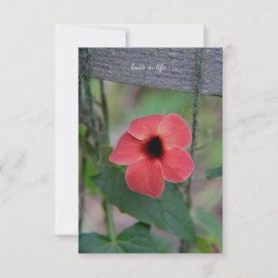 Schöne Gartenanlage Mitteilungskarte