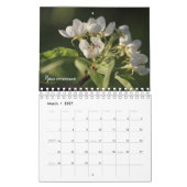 Schöne Gartenanlagen Blume Kalender (Mär 2027)