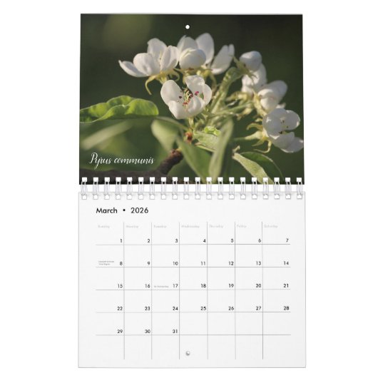 Schöne Gartenanlagen Blume Kalender (Mär 2026)