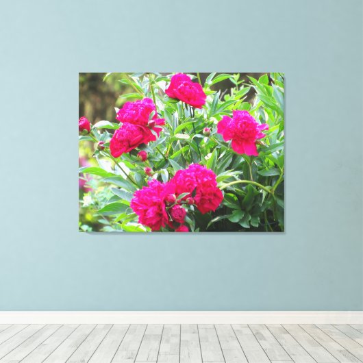 Schöne Gartenkunst Leinwanddruck (Insitu (Holzboden))