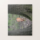 Schöne Gazelle im Wald Puzzle (Vertikal)