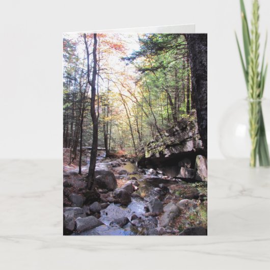 Schöne Geburtstagwünsche Karte (Vorderseite)