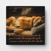 Schöne Gedenkstätte für deutsche Hirten Fotoplatte (Vorderseite)