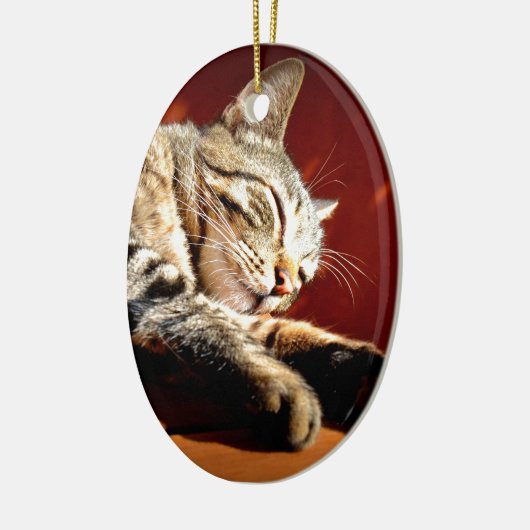Schöne gefleckte Katze Keramikornament (Links)