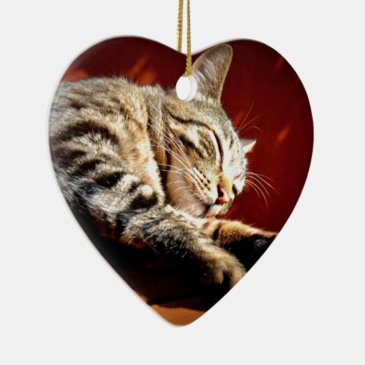 Schöne gefleckte Katze Keramikornament (Rechts)