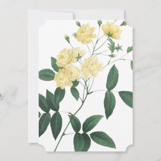 Schöne gelbe Blume Kinderdusche Einladung (Rückseite)