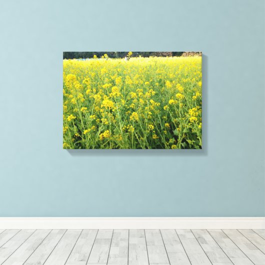 Schöne Gelbe Blume Leinwand (Insitu (Holzboden))