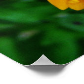 schöne, gelbe Blume Poster (Ecke)