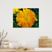 schöne, gelbe Blume Poster (Küche)