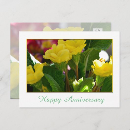 Schöne gelbe Blume zum Jubiläum Postkarte (Vorne/Hinten)