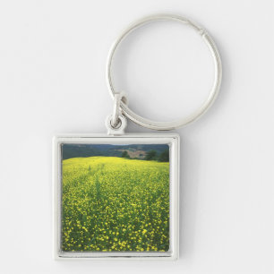 Schöne gelbe Blumen bedecken Felder von San Schlüsselanhänger