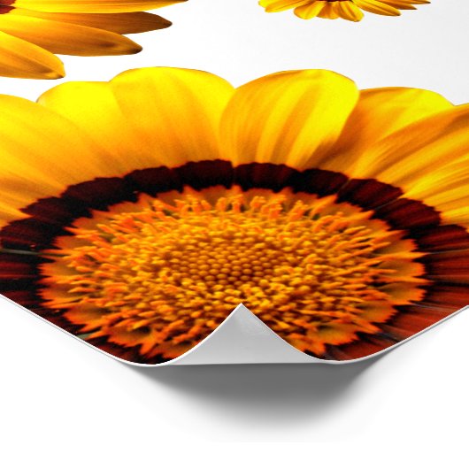 Schöne gelbe Blumen Poster (Ecke)