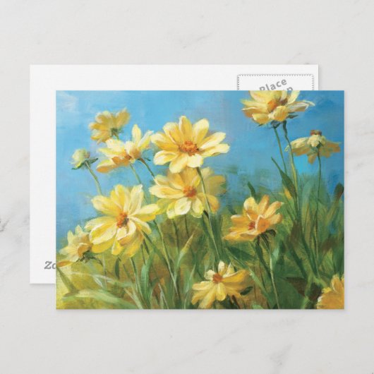 Schöne gelbe Daisies Postkarte (Vorne/Hinten)