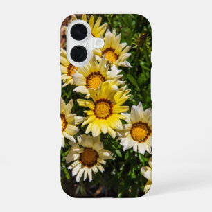 Schöne gelbe Gazania-Blumen im Garten iPhone 16 Hülle