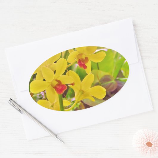 Schöne gelbe Herbstorchideen Ovaler Aufkleber (Umschlag)