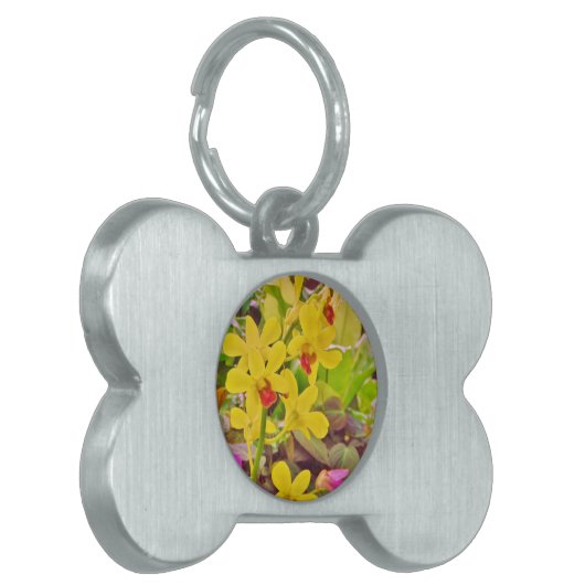 Schöne gelbe Herbstorchideen Tiermarke (Vorderseite links)