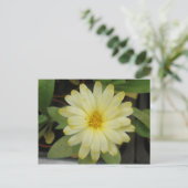 Schöne Gelbe Marigold Postkarte (Stehend Vorderseite)