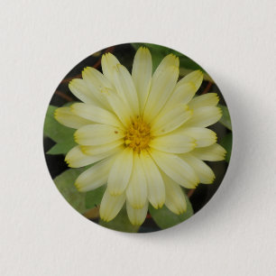Schöne Gelbe Marigold-Taste Button