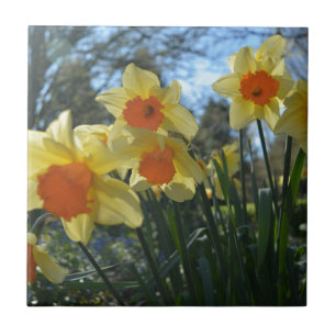 Schöne, gelbe, orangefarbene Blume Fliese