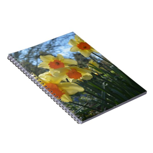 Schöne, gelbe, orangefarbene Blume Notizblock (Rechte Seite)